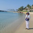 선셋(sunset) 이미지