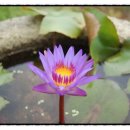 배다리 박물관 이미지