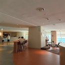 클럽디오아시스(CLUBD OASIS)스파&워터파크 이미지