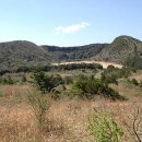 송당본향당 이미지