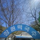 장원정비 | 나의 여행일지(부여 행복 여행_롯데부여리조트, 장원막국수, 부여백마강유람선, 성흥산사랑나무, 솔내음...