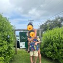 줌커피 | 여기 그냥 가면 100% 코나커피 계속 줌…☕ 코나 그린웰 팜스 솔직후기