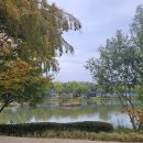 참부동산중개사무소 이미지