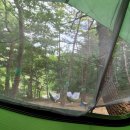 묵계교회 옆 | [블챌] 주간일기 - 6월첫주