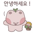 마켓몬