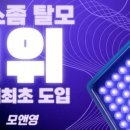 모앤영