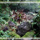 웃뜨르빛센터 이미지