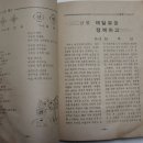 이리고등학교 교지) 1972,3년 지리산, 한라산 등산기와 수학여행기들 모음 이미지