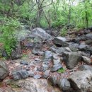 김성수행정사 이미지