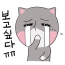 용쌤필라테스앤요가