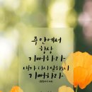 가람디지탈주 네이버블로그