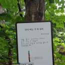 우리숲사회적협동조합 이미지
