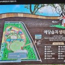 예당습지생태공원 이미지