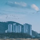 구름노을