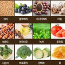 환이조아