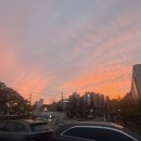 붉은노을 이미지