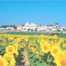 개인택시(콜택시) 이미지