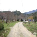 왕피천관광농원 이미지