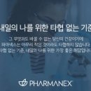 티그린 이미지