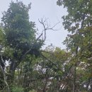 황악산가든 이미지