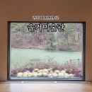 [경주 여행] 경주 겨울 여행 가볼만한 곳 : 엑스포공원 솔거미술관 (위치, 주차, 입장권 구매)