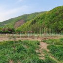 고래산농장 이미지