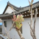 정겨운민박 이미지