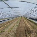 송죽농장 이미지