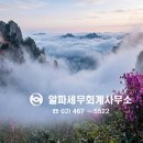 알파세무회계사무소
