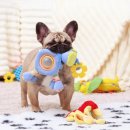 강아지 사랑 이미지