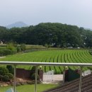 도영 공인중개사사무소 이미지