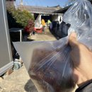 [동락점빵 이동장터 이야기] 12월 12일 운행기록 이미지