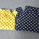 도기냐미 이미지