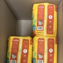 데이앤나이트 | 핑크퐁 기저귀 데이앤나이트 XL 솔직후기｜육아맘이 매일 쓰는 이유