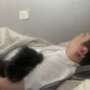 이윤세 동물병원 이미지