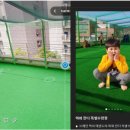 브레인 박사 태권도장 이미지