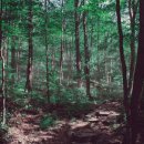 오늘은 선물 이미지