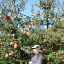 청송상회 이미지