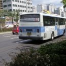 부산여객 이미지