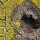 숨골 이미지