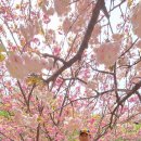 성지목장 이미지