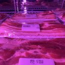 루나 캠프닉 이미지