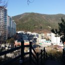 마동근린공원산책로 이미지