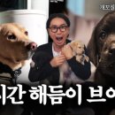 해듬