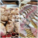 빌리스코리아 표선지점 | 제주 1박2일 여행 필수 맛집 흑돼지 고등어회 갈치조림. 교래흑돼지, 원담 솔직 후기