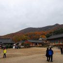 선운사