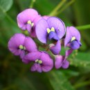 이동원의 가을 편지 이미지