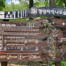 대문약국 이미지