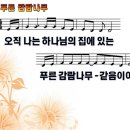 푸른감람나무 이미지