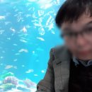 배추머리미용실 네이버블로그